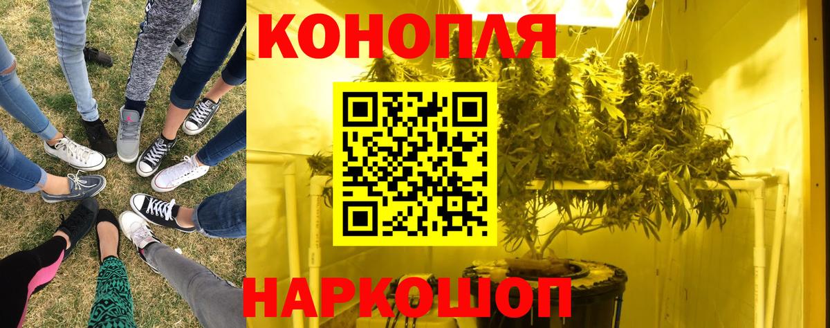 Новокубанск  Канабис Bruce Banner  Марихуана White Widow  Вход с VPN  Шишки марихуана конопля 